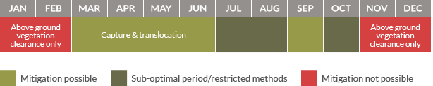 Mitigation calendar for reptiles