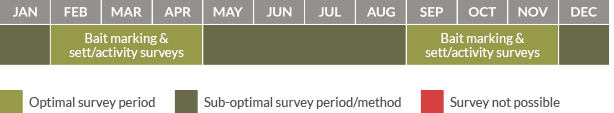 Survey calendar for badgers