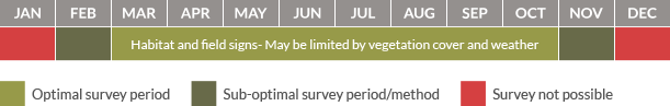 Survey calendar for water voles