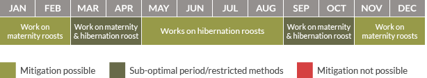 Mitigation calendar for bats