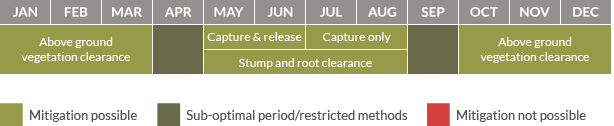 Mitigation calendar for Dormice