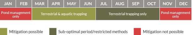 Mitigation calendar for Great Crested Newts