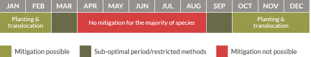 Mitigation calendar for phase 1 habitat surveys