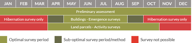 Survey calendar for bats