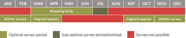 Survey calendar for birds