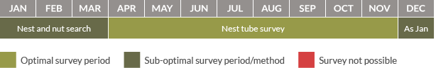 Survey calendar for dormice