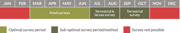 Survey calendar for great crested newts